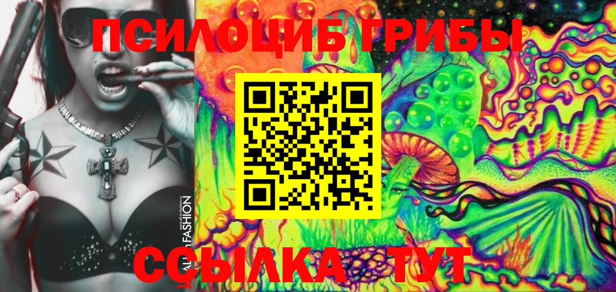 где можно купить наркотик  Иваново  Псилоцибиновые грибы Psilocybine cubensis 