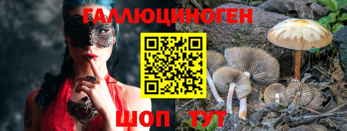 Галлюциногенные грибы MAGIC MUSHROOMS Иваново