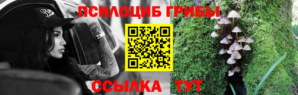 Иваново  Галлюциногенные грибы Cubensis  Галлюциногенные грибы Magic Shrooms  Вход с VPN 